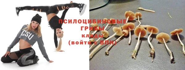 PSILOCYBIN Белоозёрский