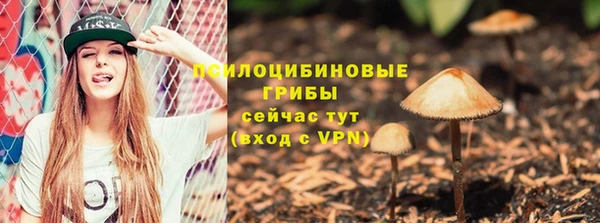 PSILOCYBIN Белоозёрский